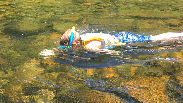 Kid snorkelling in a river to see what lives in the water during a weekend of fun conservation education outdoor activities in north carolina