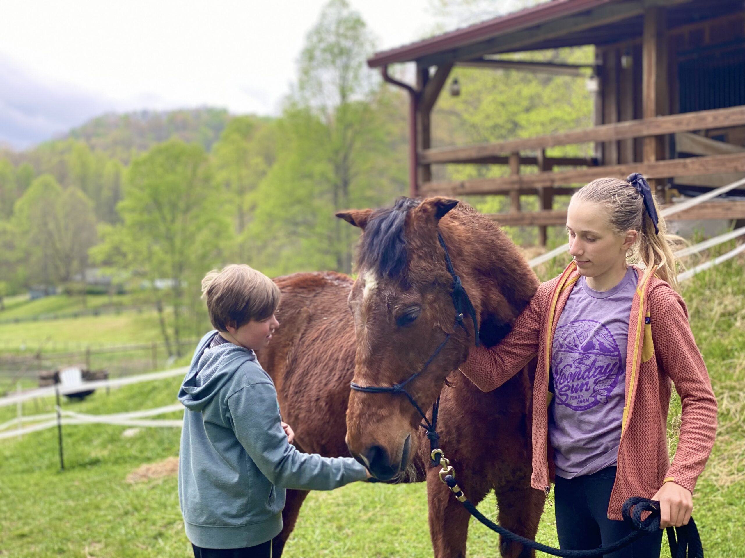 Day at the Barn Camp
